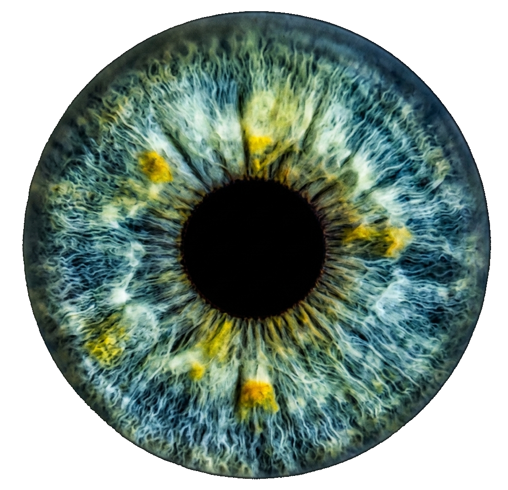 Iris original