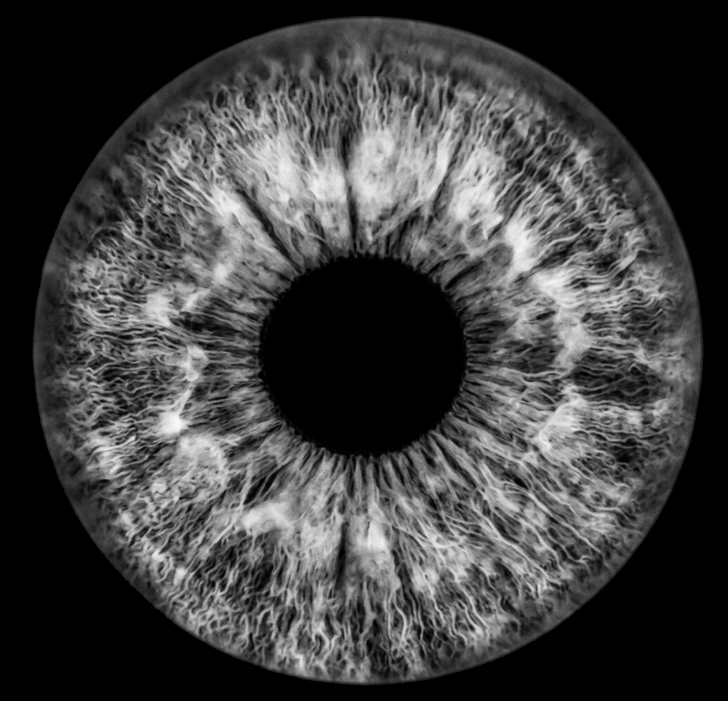 Iris niveaux de gris
